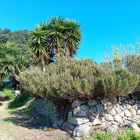 Villa Vinha Do Gaio Montes de Cima Exterior foto