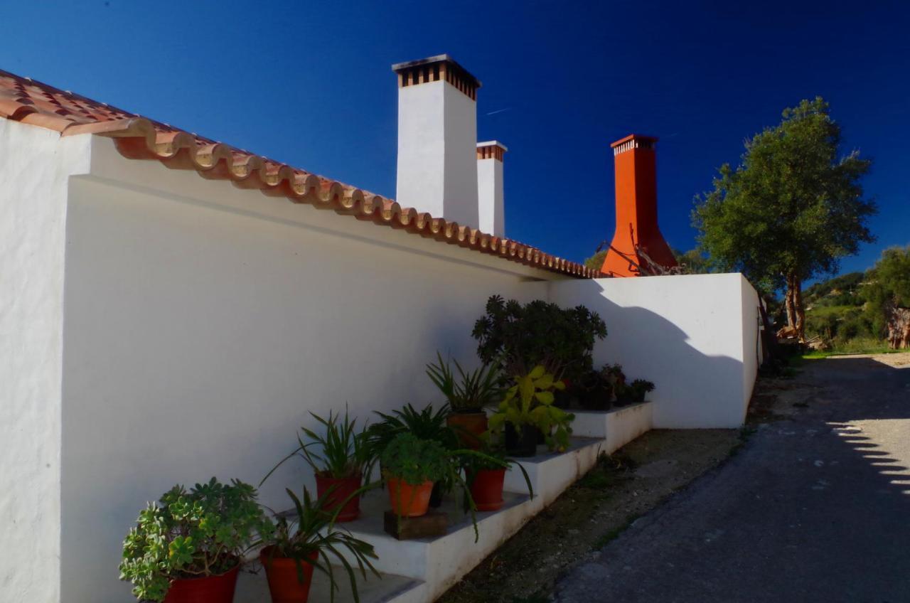 Villa Vinha Do Gaio Montes de Cima Exterior foto