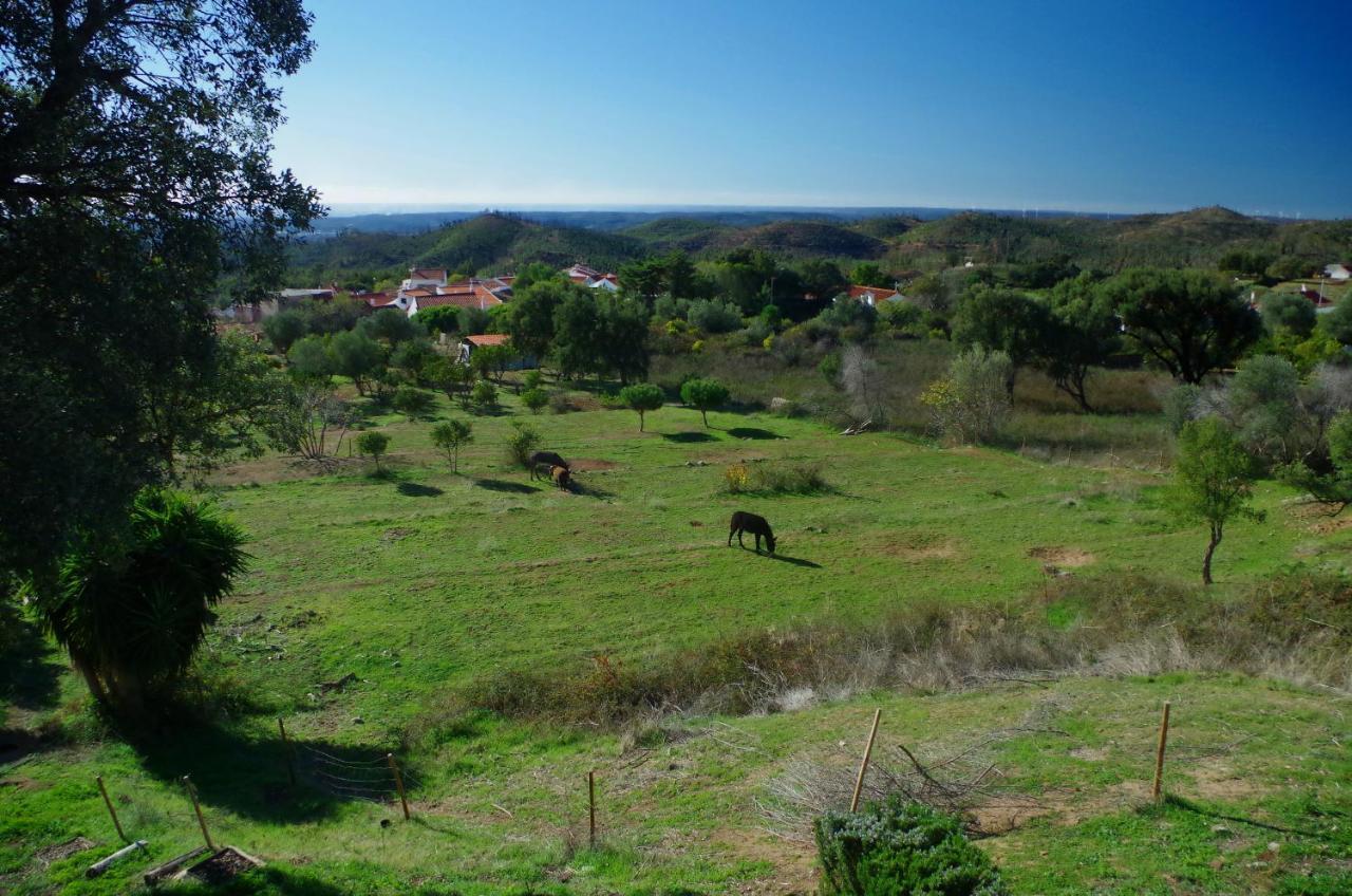 Villa Vinha Do Gaio Montes de Cima Exterior foto