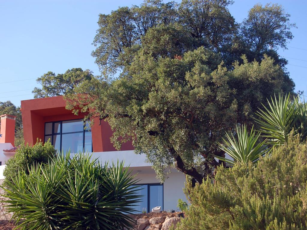 Villa Vinha Do Gaio Montes de Cima Exterior foto